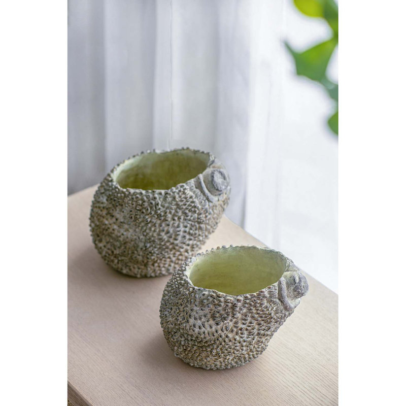 Pot à fleurs 100% ciment Uhrichsville, H 5,9 po x l 6,5 po x P 5,7 po