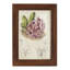 Cactus antique III, impression sur papier-881012499-881012505