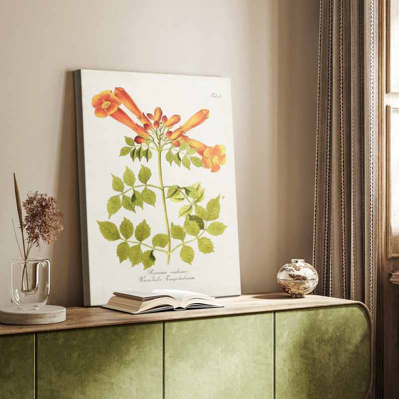 Fleurs tropicales de la trompette III - Cavas enveloppés de galerie, H 12 po x l 8 po