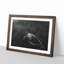 Sea Turtle - Picture Frame Painting Print-56705585-56705586