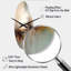 Kreinest - Grande horloge murale beige - forme unique-464242052