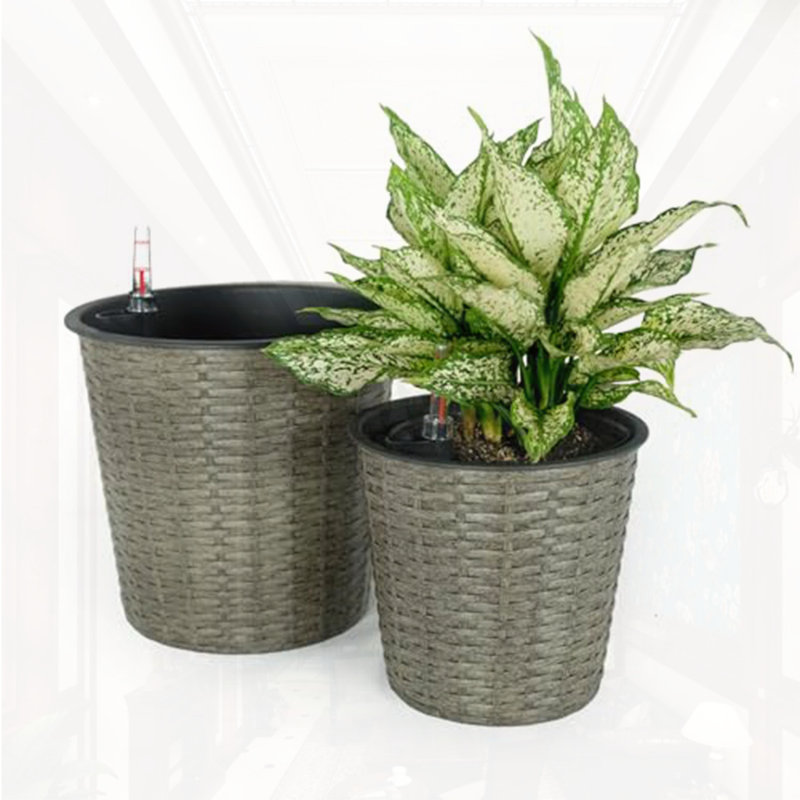 Ensemble de 2 pots de fleurs décoratifs en osier