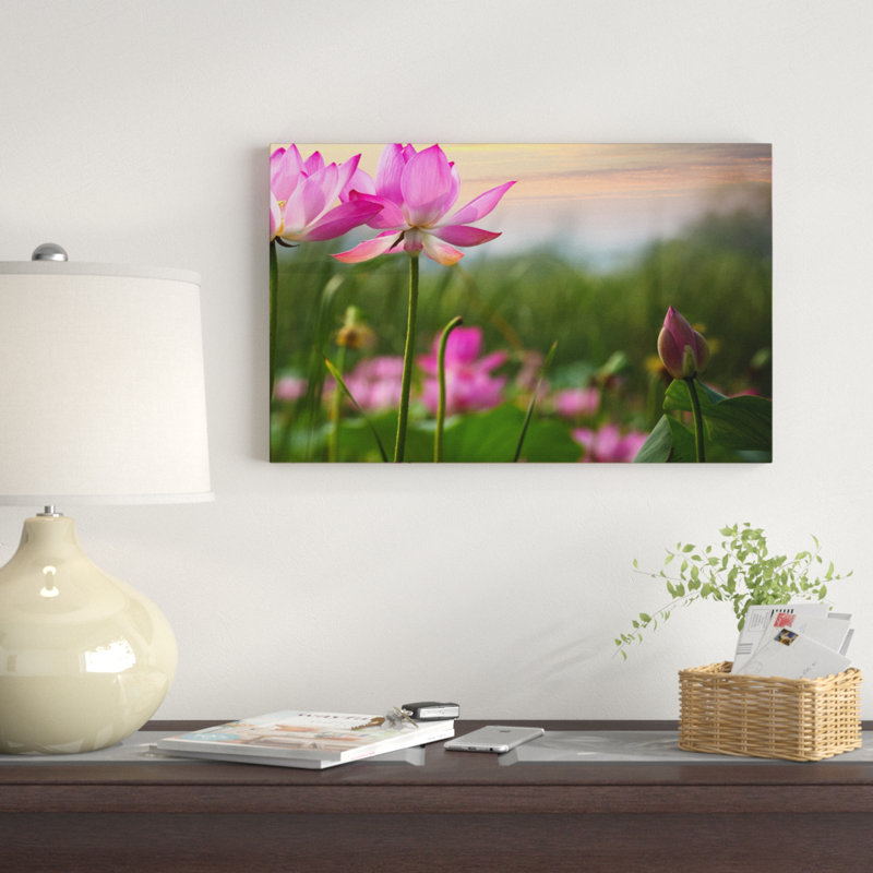 «Blooming Lotus Flowers at Sunset», photographie, L 40 po x H 20 po, Toile tendue