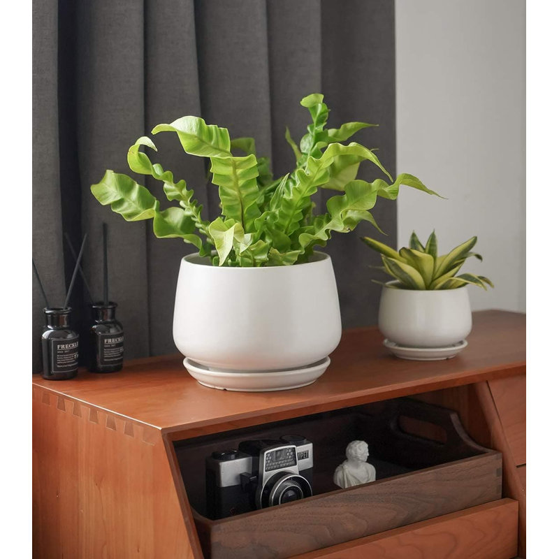 Ceramic Pot Planter