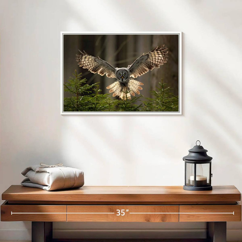 Hibou volant, Cadre flottant blanc, 19 po x 13 po