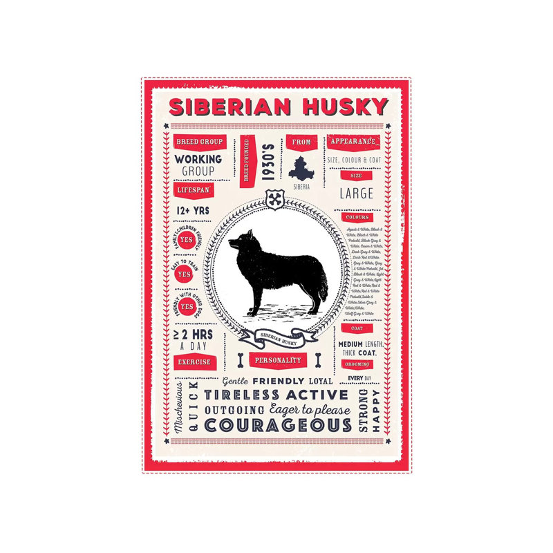 «Siberian Husky Infographie Red» par PaperPaintPixels, impression sur toile tendue, H 40 po x l 26 po x P 1,5 po