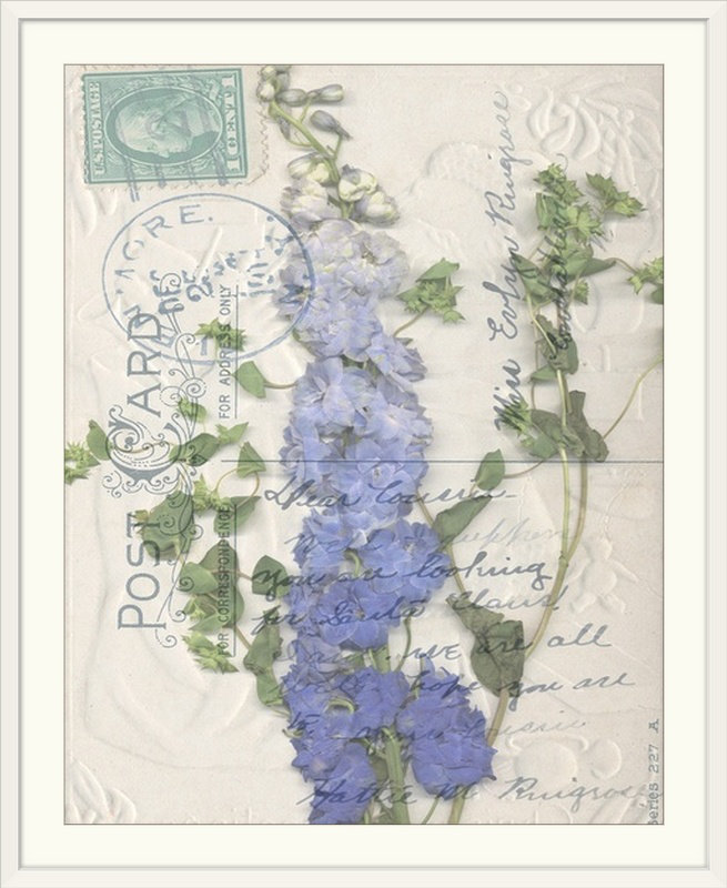 « ii » jennifer grolier, impression Postcard Wildflowers, H 28 po x l 24 po x P 1 po, Cadre blanc
