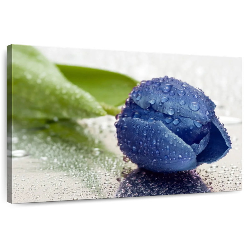 Tulipe bleu foncé Harnek, H 20 po x l 30 po