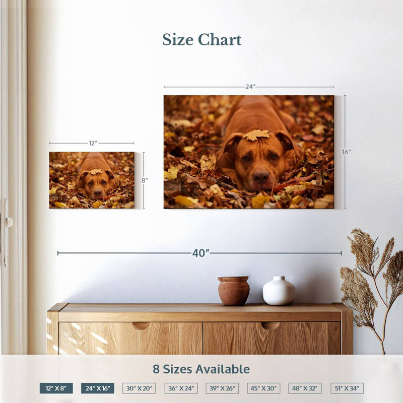 Cute Autumn Pitbull
