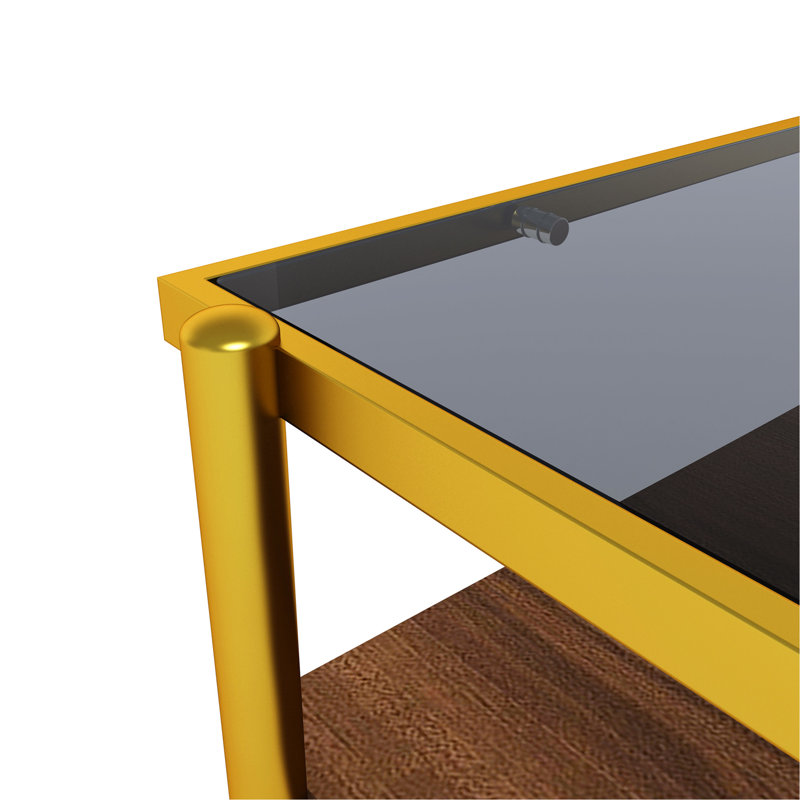 Mobilier de salon moderne avec table basse en verre trempé gris et pieds fiables, Gold/Brown