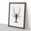 Crimson Crawfish Illustration by Charles D' Orbigny - Picture Frame Painting Print-55490536-55490533