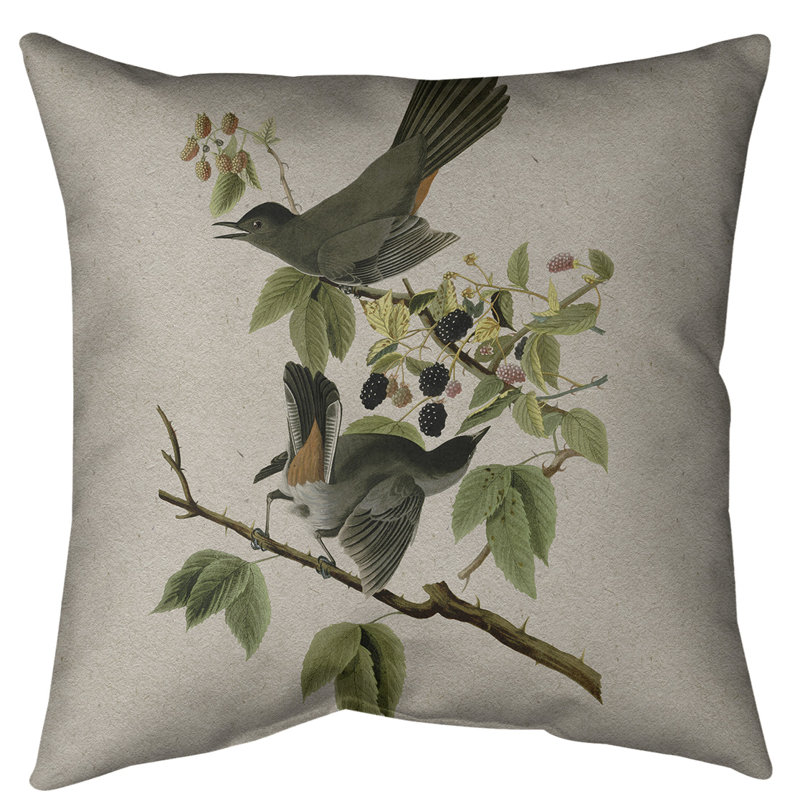 Coussin de sol pour chat avec oiseau John James Audubon-standard, Gris, 30 po x 30 po