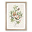 Warbler Bird & Butterflies by John Audubon - Picture Frame Painting Print-55605589-55605590