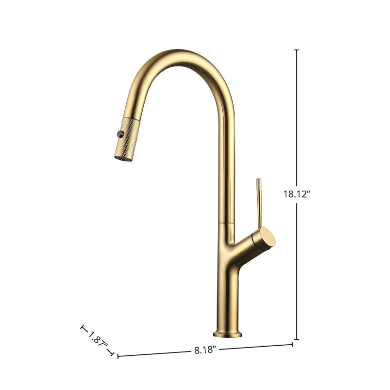 DAX Single Handle Pull Out Kitchen Faucet, Gold