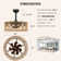 20"  Ceiling Fan with Light, Hand-Made Rattan String Shade, 6 Light and 3 Fan speed
