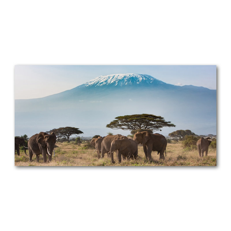 Elephants Kilimanjaro - Wrapped Canvas Print