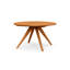 Catalina Round Extension Table-12456041-12261665