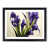 Black Framed selected