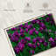 Tulipes violettes Alvord-108731692