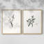 «Vintage Floral XXII», impression giclée sur cadre - ensemble de 2-813104443-813104423