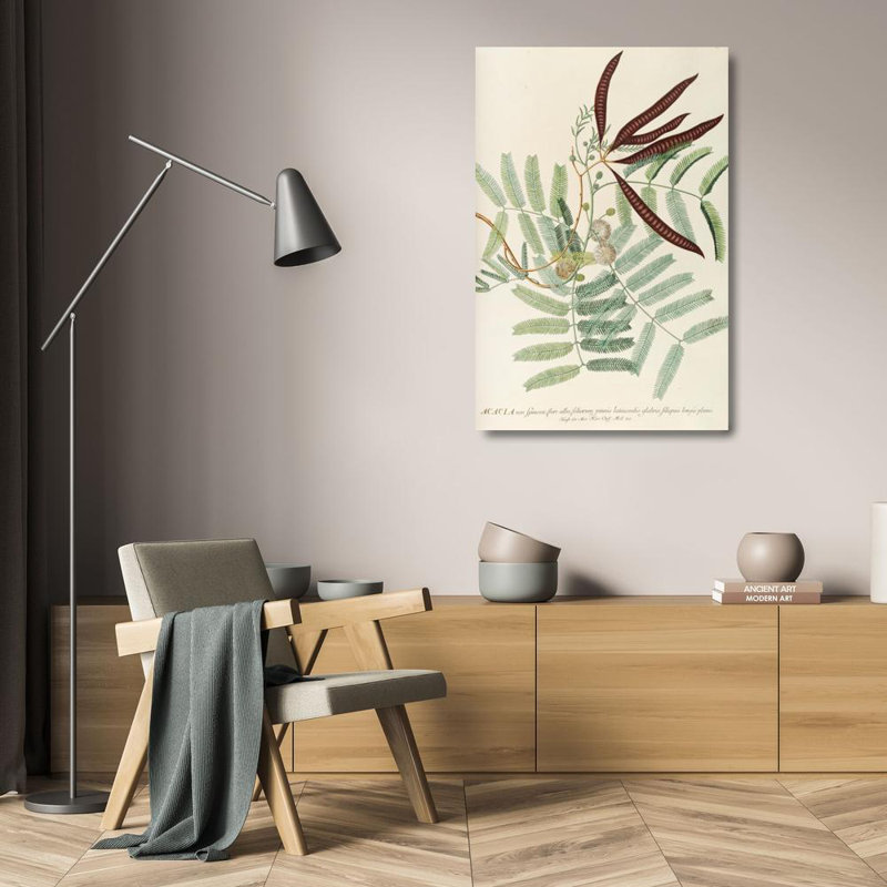 "Acacia" par Georg Dionysius Ehret - Art mural sur toile tendue avec châssis, H 24 po x l 17 po