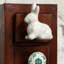 Multipack de boutons de fantaisie Rabbit