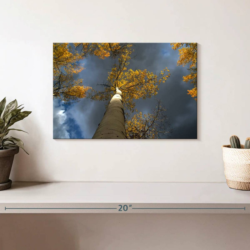 Harnek Aspen Tree Canopy, 8" H x 12" W