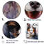 Border Collie Brilliance I sur toile-319854476-319854478