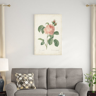 Roses rétro Redoute IV
