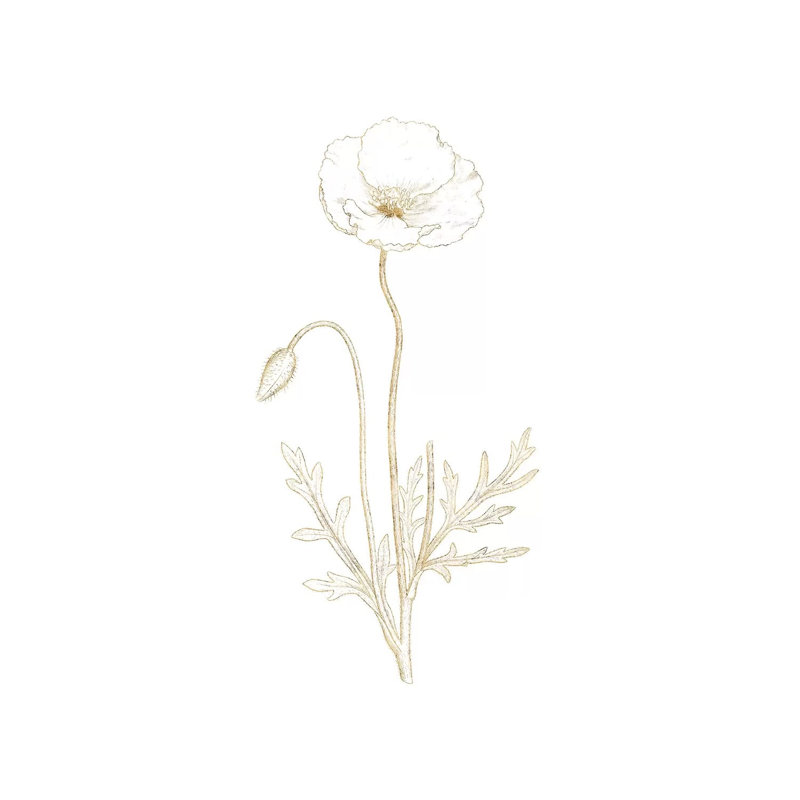 Gilded Botanical I by Wild Apple Portfolio - Wrapped Canvas Print, 152.5 cm H x 101.5 cm W