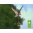 41'' H Metal Animals Weathervane
