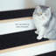 Elko Non-Slip Stair Tread-1186740324