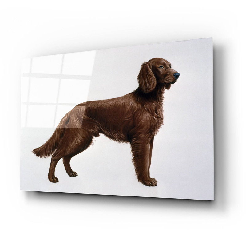 Red Barrel Studio® «Irish Setters» par Harro Maass, art mural en verre acrylique, H 16 po x l 24 po x P 0,2 po