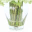 Polysilk Hydrangea Arrangement in Vase-53315512