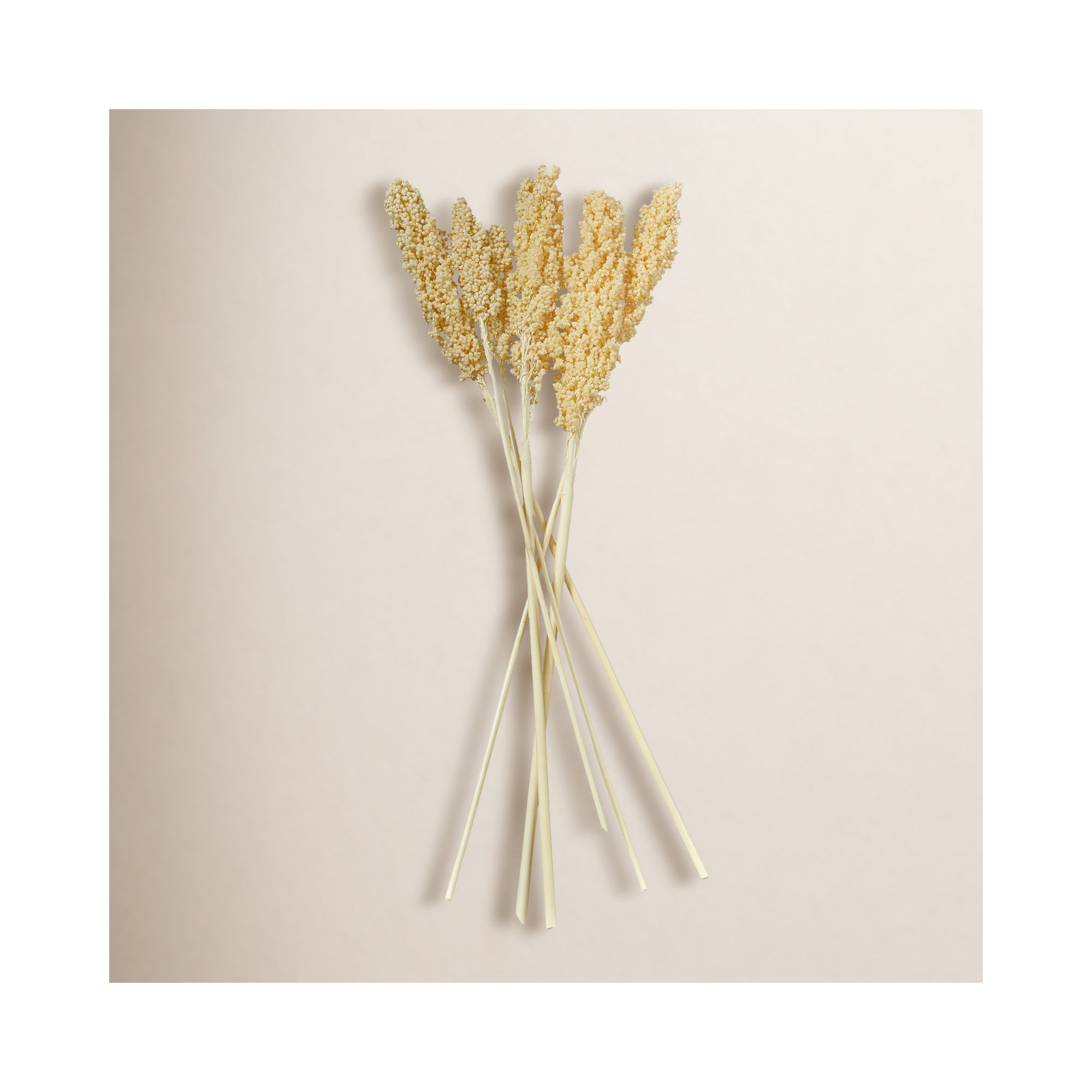 Clerkin Natural Dried Plant Floral And Botanical Artificial Foliage, Cream