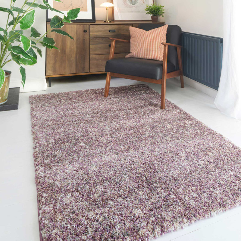 Dimitrov Shag Area Rug, Rectangle 120 x 170cm