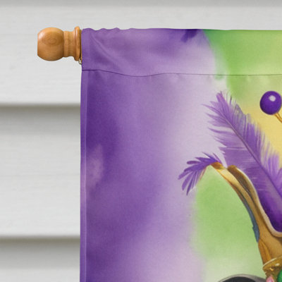 Double Sided 40'' H x 28'' W Polyester Mardi Gras House Flag