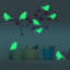 Bird Glow in Dark Wall Sticker Set