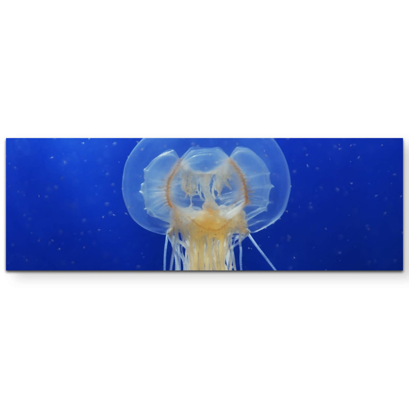 Wrapped Canvas Print, 120cm L x 40cm W