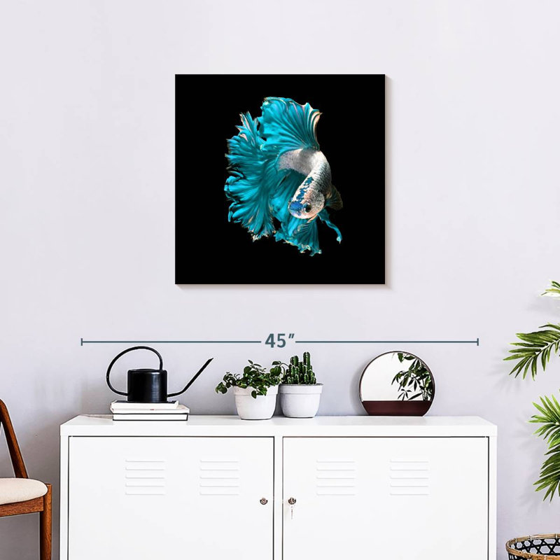 Brampt Plush Fighter Fish, 24" H x 24" W