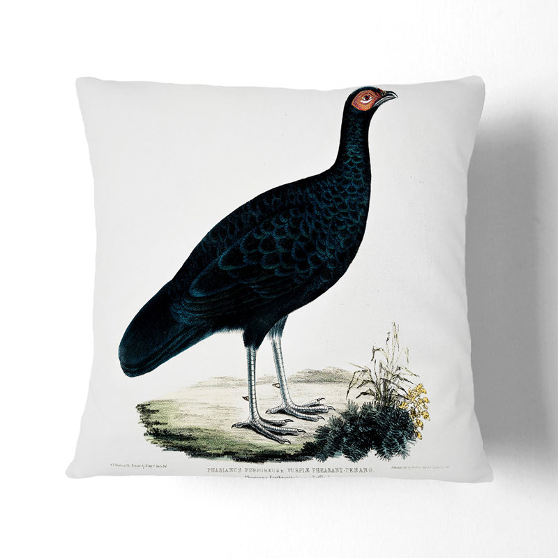 Square Throw Cushion, 55cm H x 55cm W x 20cm D
