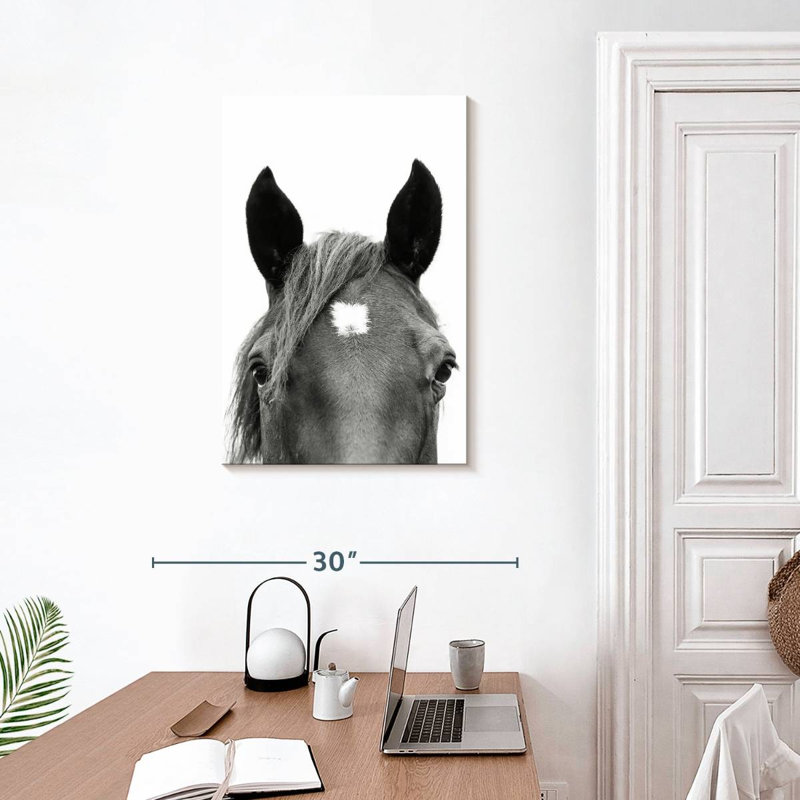 Brampt regardant un cheval en noir et blanc, H 30 po x l 20 po