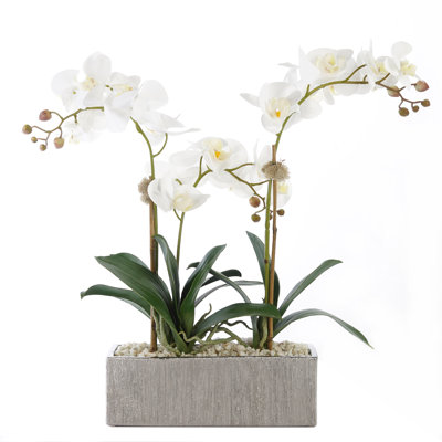 Faux Silk Orchid Arrangement in Pot