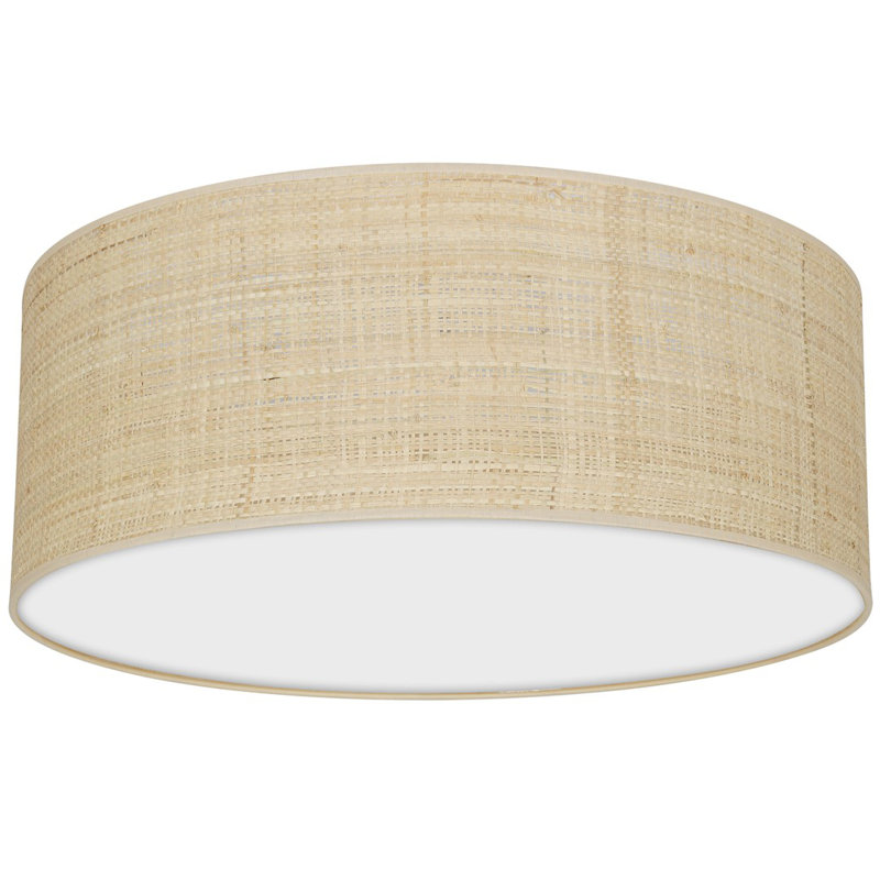 Adero 1-Light 53cm LED Integrated Flush Mount