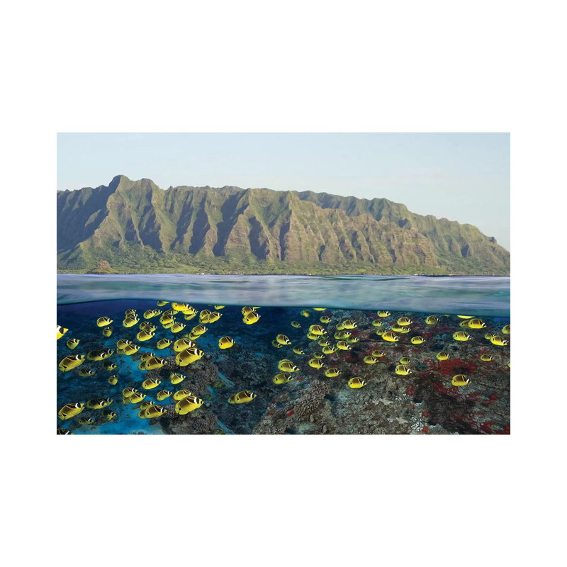 Digital Split Image Of Schooling Raccoon Butterflyfish Off Oahu - Wrapped Canvas Print, 20.32 cm H x 30.48 cm W