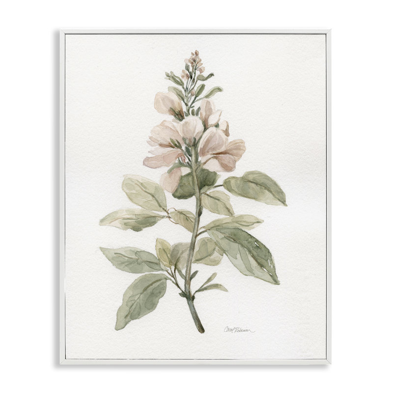 «Subtle Watercolor Botanicals», estampe numérique par Carol Robinson, Estampe numérique encadrée blanc bord de mer