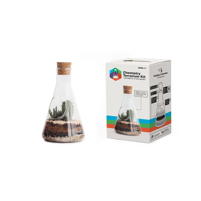 Sherly Glass Terrarium