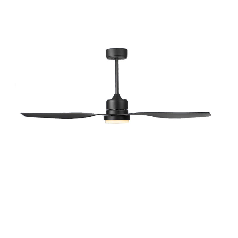 Ceiling Fan with LED Lights