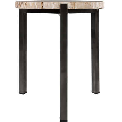 Petrified Stone End Table