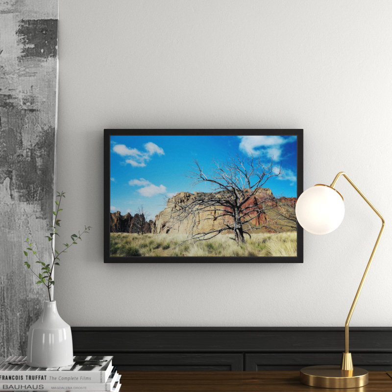 Sylvia Cook - Single Picture Frame Print, 41cm H x 61cm W